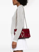 Gucci Small Dionysus Shoulder Bag Pose
